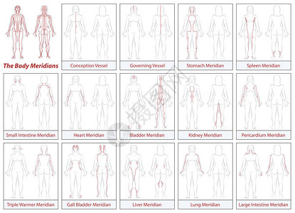 身体经络图女身体主要针灸经络及其流动图片