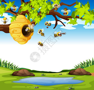 蜜蜂在花园插图中飞翔图片