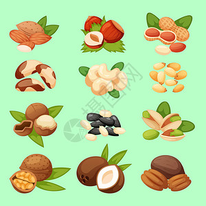 一组坚果矢量图素食营养开心果成分健康有机食品农业饮食简而言之图片