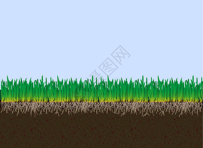土壤和草夏天腐殖酸高清图片