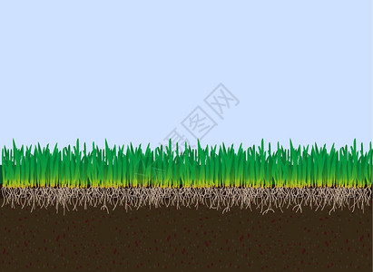 土壤和草图片