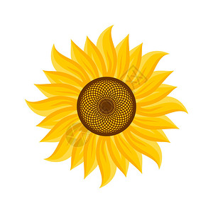 标志和符号的向日葵的图片