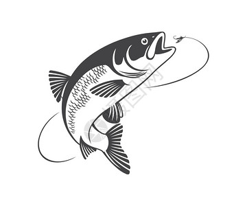 动物区系小鱼鲢鱼的图标插画