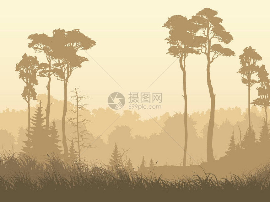 雾气弥漫的森林空地的水平插图图片