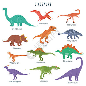 一组恐龙图片