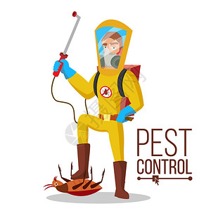 害虫防治服务载体卫生清洁清洗去除害虫杀虫虫平面卡通插图背景图片