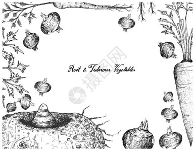 块根和块茎类蔬菜的手绘框架高清图片