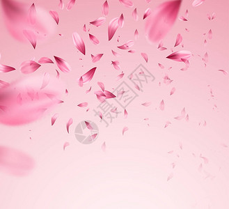 粉红沙库拉坠落的花瓣背景矢量插图图片