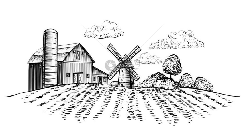 农田上的农场谷仓和风车在农村景观手绘素描风格水平插图黑白乡图片
