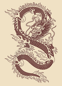 亚洲传统龙矢量插画背景图片