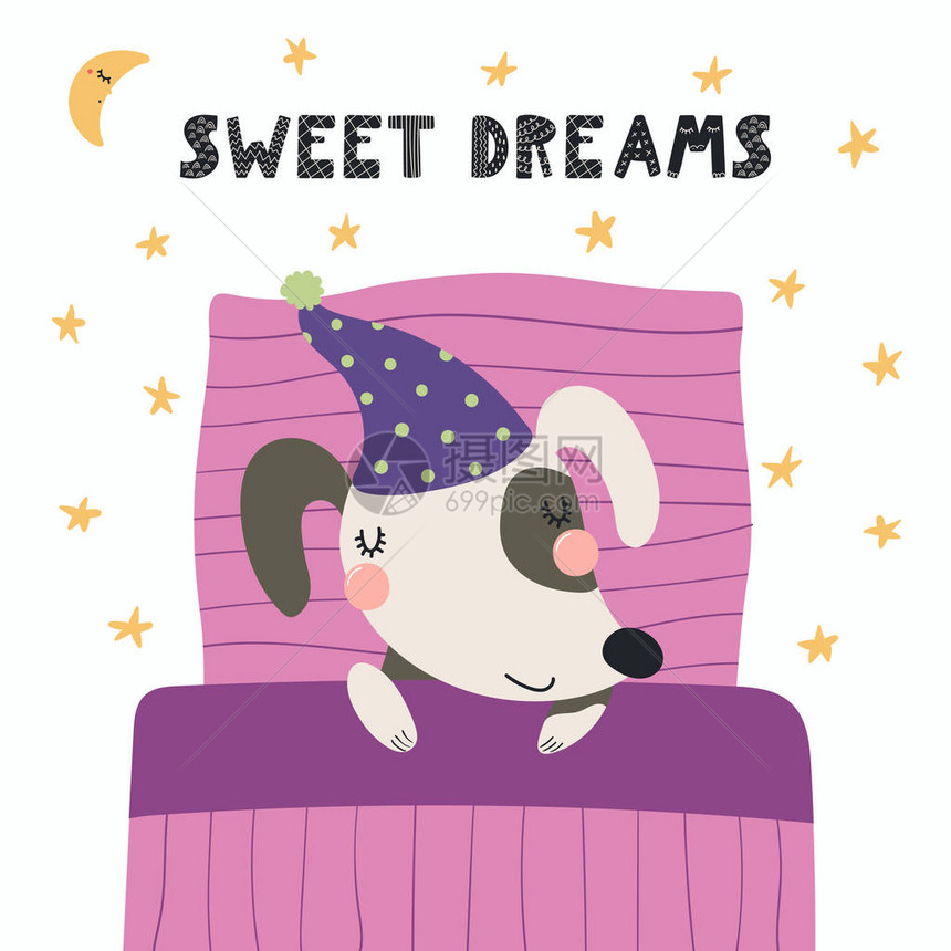 可爱的滑稽狗在睡前用枕头和毯子睡觉图片