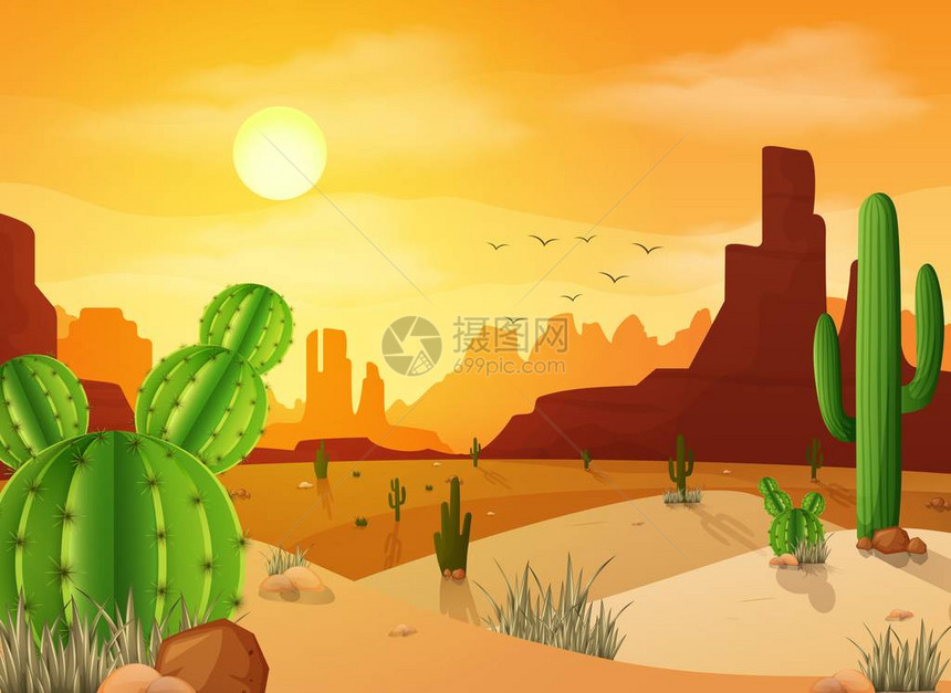 沙漠景观与日落背景上的仙人掌图片