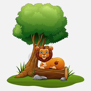 科纳区卡通狮子坐在树下插画