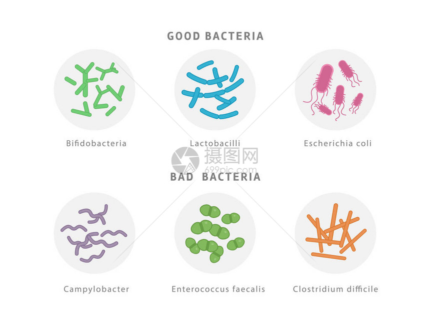 将良好和坏的细菌植物图标设置在白色上图片
