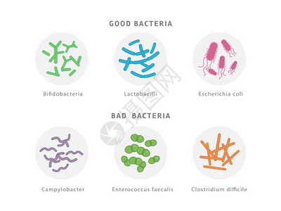 拟物化将良好和坏的细菌植物图标设置在白色上插画