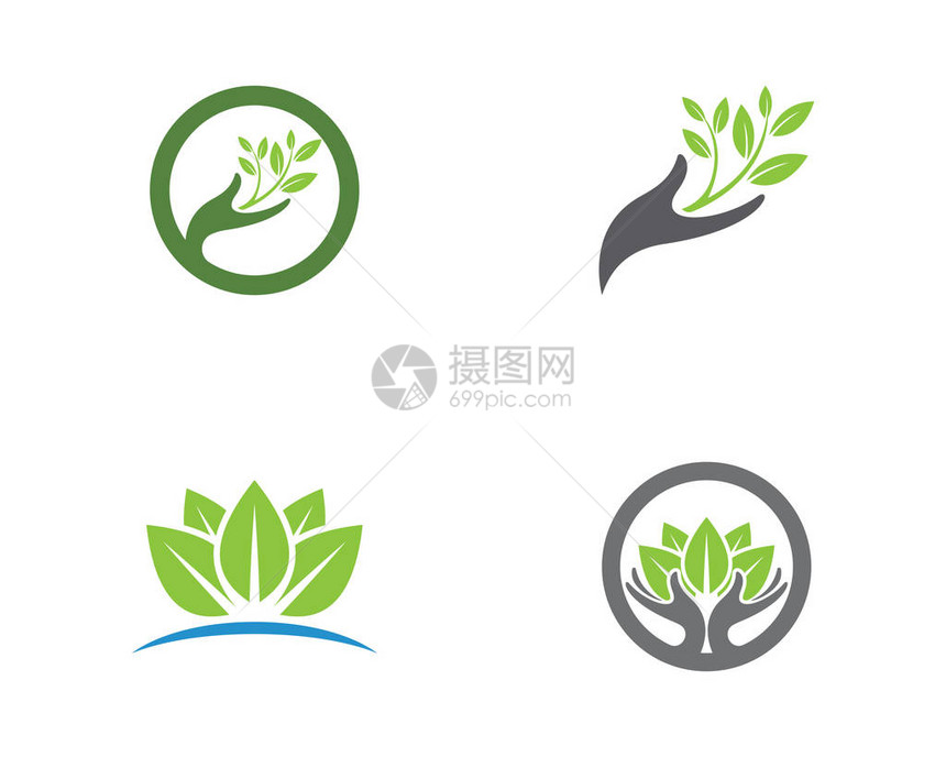 绿树叶生态自然元素矢量标志图片