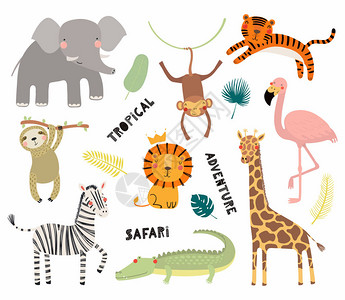 一套可爱有趣的非洲动物矢量图斯堪的纳维亚风格设计概背景图片