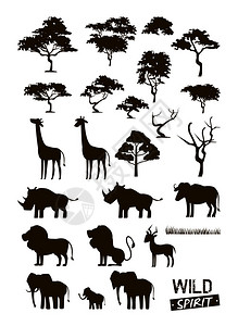一套野生非洲动物漫画收集矢量图解图片