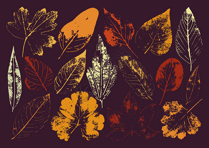 矢量树枝和树叶手绘花卉元素复古单色植物插图图片