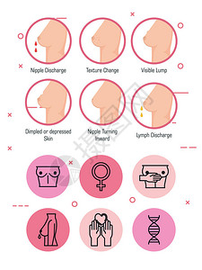 乳房外观类型图片