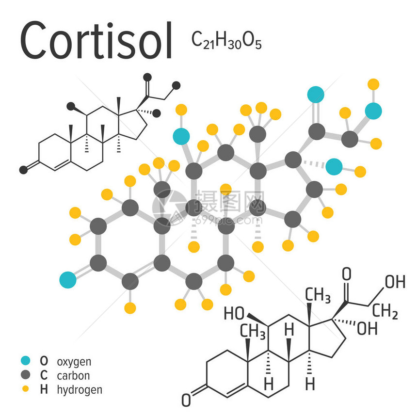 载体皮质醇分子的化学表达式图片