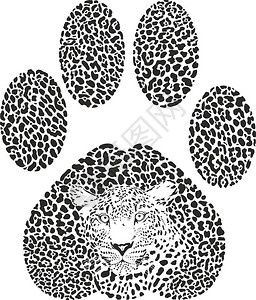 豹迹形状的豹伪装矢量图背景图片