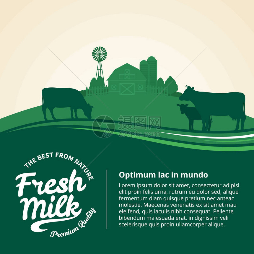 奶牛犊牛农家田园风光的矢量牛奶插图图片