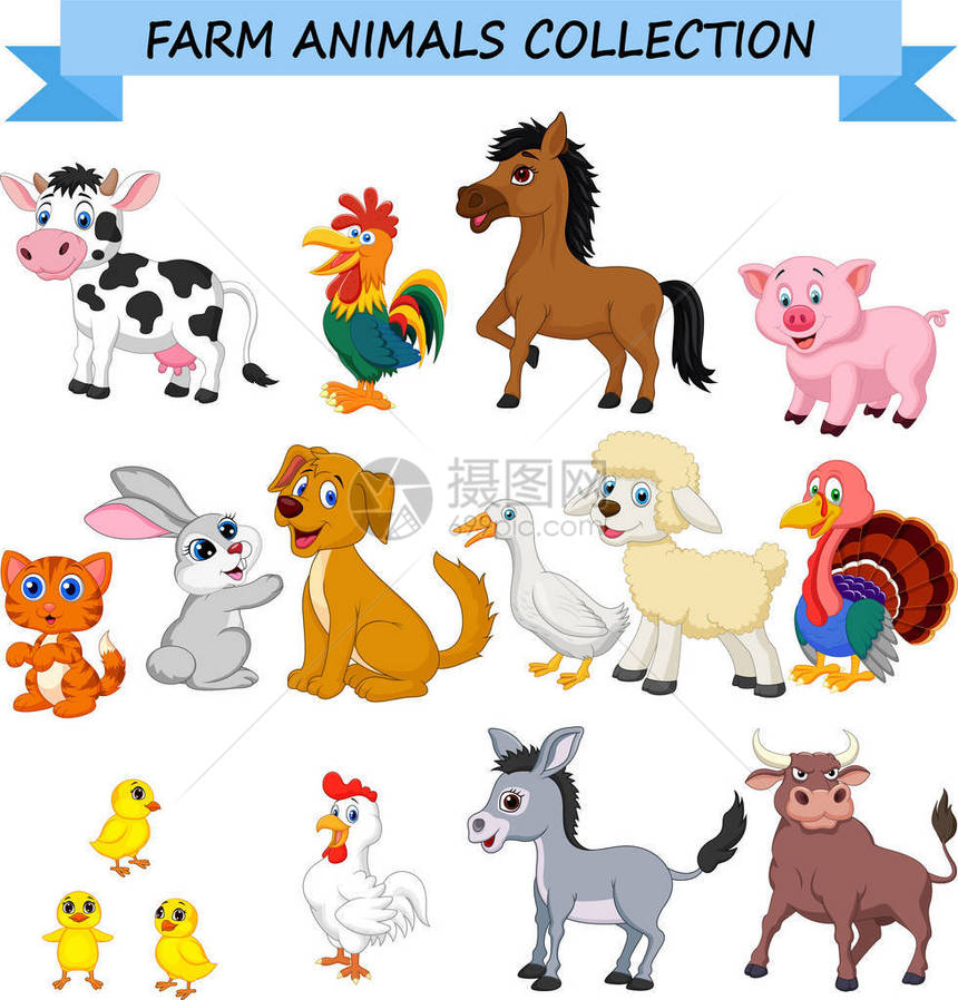 动画片农场动物收藏的向量例证图片