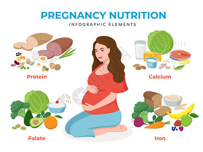 孕妇喝酸奶平面设计矢量图中的妊娠营养信息图表元素孤立在上的孕妇人物高钙富含铁叶酸蛋白质插画