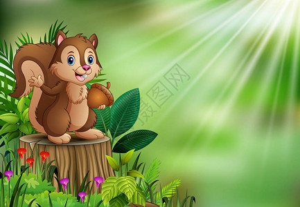 卡通滑稽松鼠拿着松果和站在树桩与绿色植物图片