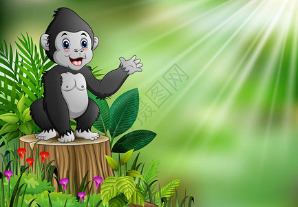 可爱的小大猩猩站在树桩上与绿色植物图片