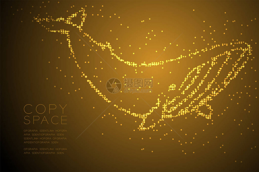 白鲸形状水生和海洋生物概念设计金色图解图片