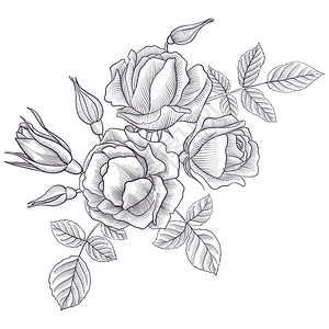 鲜花芽和玫瑰叶的花粉仿制雕刻手工绘画设计元素背景图片
