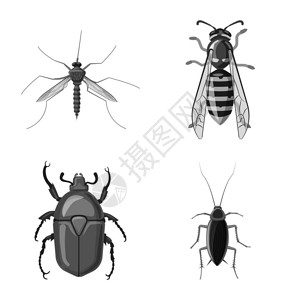 酿蜜昆虫和苍蝇图标的矢量设计昆虫和元素存量矢量图的采集插画