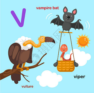 插图孤立字母V吸血蝙蝠毒蛇秃鹫图片