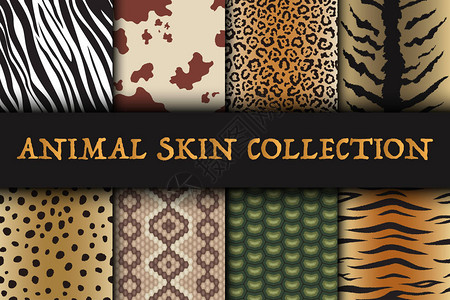 建立了无缝的动物皮肤模式长颈鹿老虎斑马豹子爬行动物牛蛇和捷豹的野生动物园纺织品背景收集向量插图背景图片
