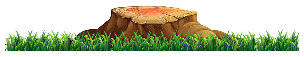 白色背景插图中的孤立树桩背景图片