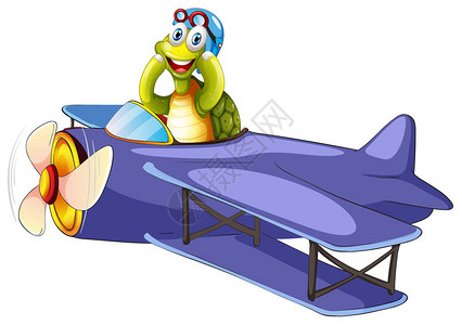 海龟骑老式飞机插图图片
