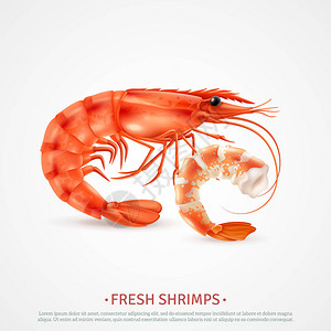 煎虎虾海鲜虾现实广告插画