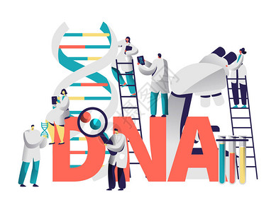 Dna基因医学测试版式化学实验室的科学家团队研究基因组带放大镜的人探索染色体对动机平背景图片