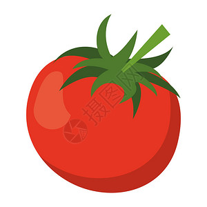 番茄新鲜蔬菜卡通图片