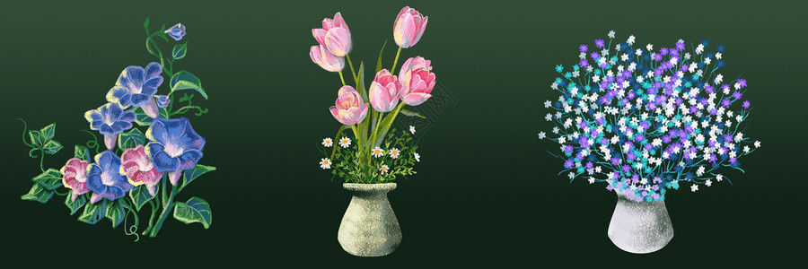 玻璃黑板黑板粉笔画花卉合集3插画