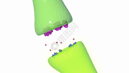 血清素受体焦虑症中神经递质传导率低设计图片