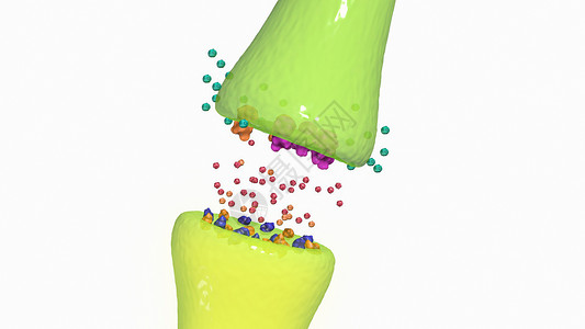 羟色胺转运蛋白焦虑治疗：SNRI设计图片
