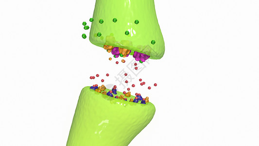 羟色胺转运蛋白焦虑治疗：TCA设计图片