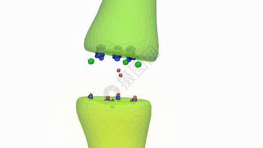 羟色胺转运蛋白抗抑郁药与神经受体结合设计图片