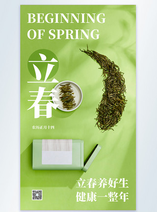 春天的鸭子二十四节气立春摄影图海报模板