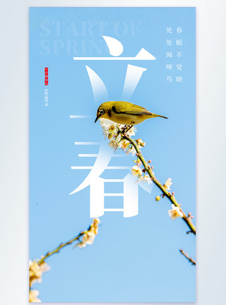 鸟撖图二十四节气立春摄影图海报模板