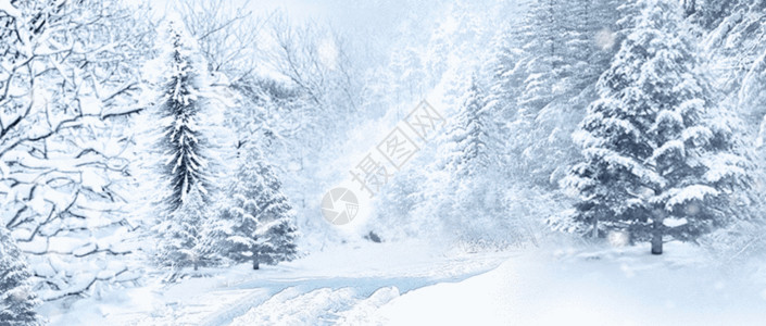 雪覆盖的森林24节气之大寒微信公众号封面GIF高清图片