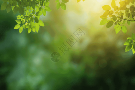 绿色植物海报生机立春GIF高清图片